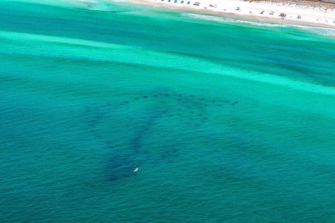 Beach Haven- Beach Pointe 703 Destin Eksteriør billede